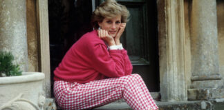 Čime se princeza Diana bavila prije udaje