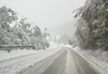 Snijeg otežava saobraćaj na putu Tuzla–Sarajevo, vozačima upućeno upozorenje