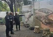 Ideja izraelskih vlasti: Zatvor s palestinskim zatvorenicima žele okružiti krokodilima