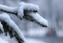 Danas se očekuje oblačno vrijeme sa snijegom
